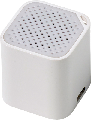 Branded Promotional PLASTIC SPEAKER with Selfie Shutter Speakers From Concept Incentives.