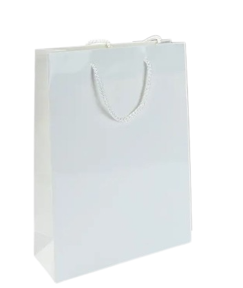 VICTORY GLOSS LAMINATED PAPER CARRIER BAG with Rope Handles