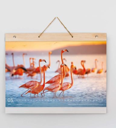 Branded Promotional nVIRO Wall Calendar Calendar From Concept Incentives.