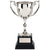 Branded Promotional SILVER CAST METAL AWARD TROPHY CUP Award From Concept Incentives.