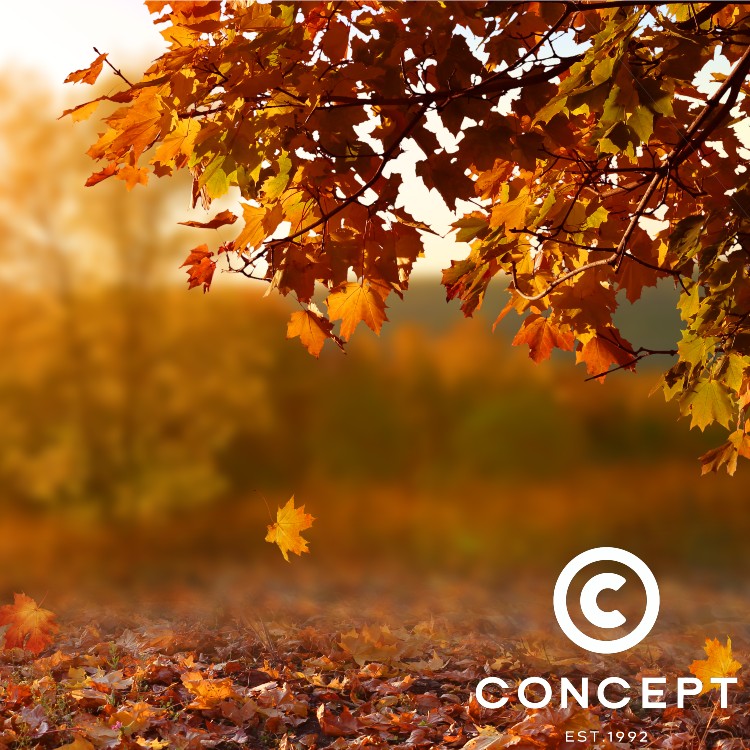 Get Ready For The Autumn Months With Our Range of Branded Travel Mugs