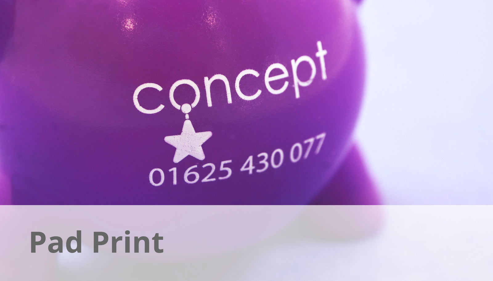 pad printed promotional giveaway toy