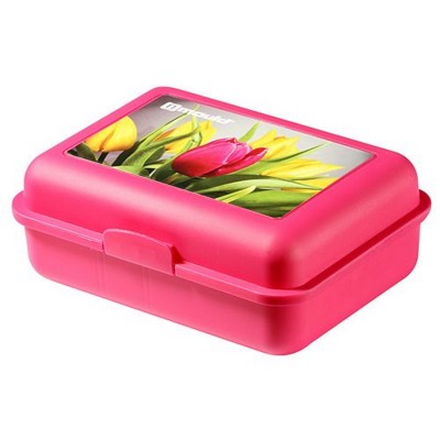 Branded Promotional IMOULD BRANDED PLASTIC SCHOOL LUNCH STORAGE BOX with Divider Lunch Box From Concept Incentives.