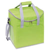 Branded Promotional FROSTY COOL BAG in Green Cool Bag From Concept Incentives.