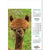 Branded Promotional ANIMAL ANTICS WALL CALENDAR Calendar From Concept Incentives.