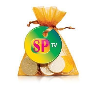 Branded Promotional ORGANZA BAG - CHOCOLATE COIN Chocolate From Concept Incentives.
