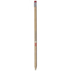 Branded Promotional CAY WOOD PENCIL with Eraser in Red Pencil From Concept Incentives.