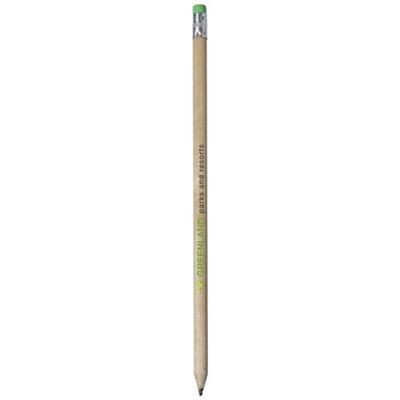 Branded Promotional CAY WOOD PENCIL with Eraser in Green Pencil From Concept Incentives.