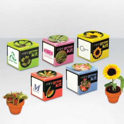 Branded Promotional GREEN & GOOD TINY TERRACOTTA DESK CUBE PLANT Seeds From Concept Incentives.