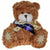 Branded Promotional 18CM PAW BEAR with Sash Soft Toy From Concept Incentives.