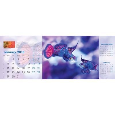 Branded Promotional BLUE PLANET DESK CALENDAR Calendar From Concept Incentives.