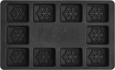 Branded Promotional CHILL CUSTOMISABLE ICE CUBE TRAY from Concept Incentives