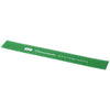 Branded Promotional ROTHKO 30 CM PLASTIC RULER in Green Ruler From Concept Incentives.