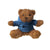 Branded Promotional HOODEDBEAR BEAR in Blue Soft Toy From Concept Incentives.