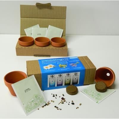 Branded Promotional BESPOKE 3-IN-1 GARDEN TRIO Seeds From Concept Incentives.