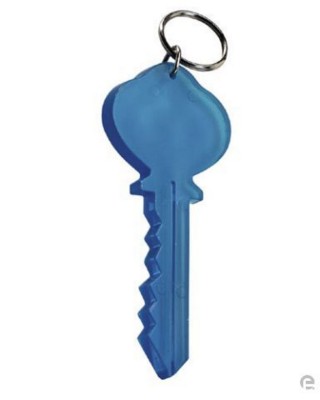 Branded Promotional PLASTIC KEY KEYRING Keyring From Concept Incentives.