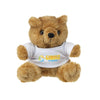 Branded Promotional BROWNY BEAR in Brown Soft Toy From Concept Incentives.