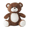 Branded Promotional BILLY BEAR NORMAL SIZE in Brown Soft Toy From Concept Incentives.