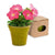 Branded Promotional FLOWERPOT with Seeds Included Seeds From Concept Incentives.