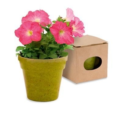Branded Promotional FLOWERPOT with Seeds Included Seeds From Concept Incentives.