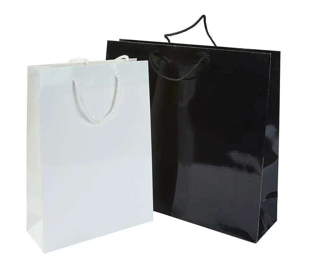 VICTORY GLOSS LAMINATED PAPER CARRIER BAG with Rope Handles