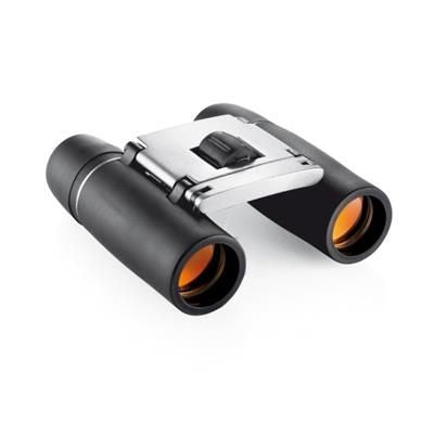 Branded Promotional EVEREST BINOCULARS in Silver Binoculars From Concept Incentives.
