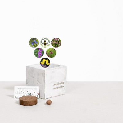 Branded Promotional SMALL CONCRETE POT - GROW KIT - BEE MIX - MARBLE Seeds From Concept Incentives.