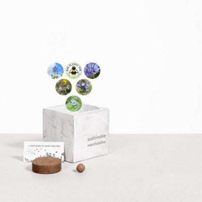 Branded Promotional SMALL CONCRETE POT - GROW KIT - SKY MEADOW - MARBLE Seeds From Concept Incentives.