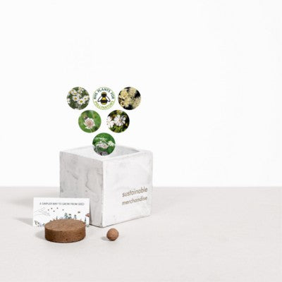 Branded Promotional SMALL CONCRETE POT - GROW KIT - SNOW MIX - MARBLE Seeds From Concept Incentives.