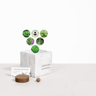 Branded Promotional SMALL CONCRETE POT - GROW KIT - HERB MIX - MARBLE Plant From Concept Incentives.