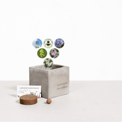 Branded Promotional SMALL CONCRETE POT - GROW KIT - URBAN MIX - ROCK Seeds From Concept Incentives.