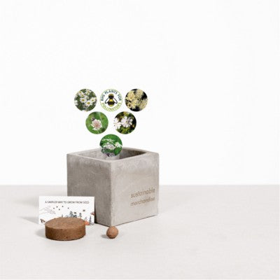 Branded Promotional SMALL CONCRETE POT - GROW KIT - SNOW MIX - ROCK Seeds From Concept Incentives.