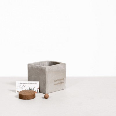 Branded Promotional SMALL CONCRETE POT - GROW KIT - CHRISTMAS TREE - ROCK Seeds From Concept Incentives.