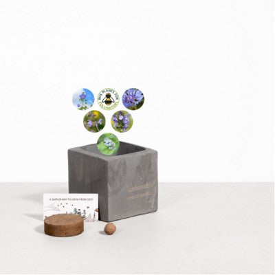 Branded Promotional SMALL CONCRETE POT - GROW KIT - SKY MEADOW - BATTLESHIP Seeds From Concept Incentives.