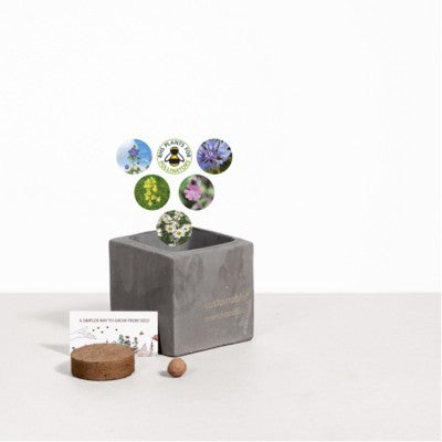 Branded Promotional SMALL CONCRETE POT - GROW KIT - URBAN MIX - BATTLESHIP Seeds From Concept Incentives.