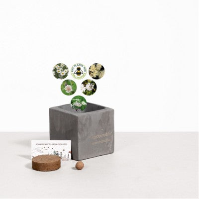 Branded Promotional SMALL CONCRETE POT - GROW KIT - SNOW MIX - BATTLESHIP Seeds From Concept Incentives.