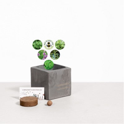 Branded Promotional SMALL CONCRETE POT - GROW KIT - HERB MIX - BATTLESHIP Plant From Concept Incentives.