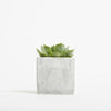 Branded Promotional SMALL CONCRETE POT - SUCCULENT PLANT - MARBLE Seeds From Concept Incentives.