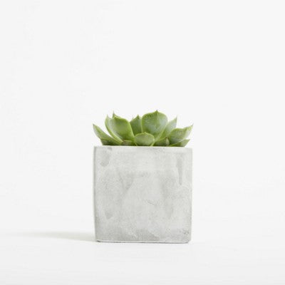 Branded Promotional SMALL CONCRETE POT - SUCCULENT PLANT - MARBLE Seeds From Concept Incentives.