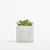 Branded Promotional SMALL CONCRETE POT - SUCCULENT PLANT - MARBLE Seeds From Concept Incentives.