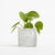 Branded Promotional SMALL CONCRETE POT - MONEY PLANT - MARBLE Seeds From Concept Incentives.