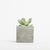 Branded Promotional SMALL CONCRETE POT - SUCCULENT PLANT - ROCK Seeds From Concept Incentives.
