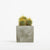 Branded Promotional SMALL CONCRETE POT - CACTUS PLANT - ROCK Seeds From Concept Incentives.