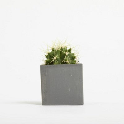 Branded Promotional SMALL CONCRETE POT - CACTUS PLANT - BATTLESHIP Seeds From Concept Incentives.