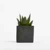 Branded Promotional SMALL CONCRETE POT - SUCCULENT PLANT - SPACE Seeds From Concept Incentives.
