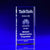Branded Promotional VENICE AWARD CRYSTAL Award From Concept Incentives.