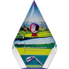 Branded Promotional PENTAGONAL AWARD in Clear Transparent Award From Concept Incentives.