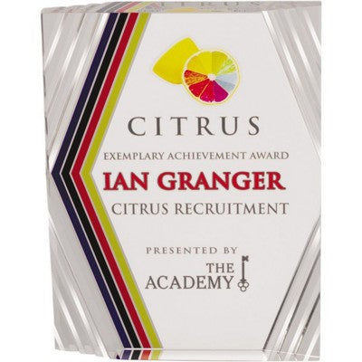 Branded Promotional RECTANGULAR AWARD in Clear Transparent Award From Concept Incentives.