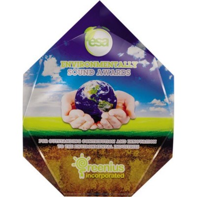 Branded Promotional HEPTAGONAL AWARD in Clear Transparent Award From Concept Incentives.