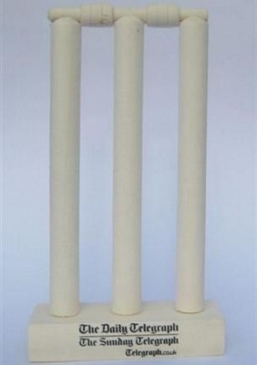 Branded Promotional MINI CRICKET STUMPS Cricket Game From Concept Incentives.